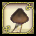 Rusty Gilled Mushroom