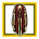 Astral Traveler's Cloak