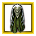 Cloak of the Green Dragon