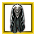 Cloak of the Black Dragon