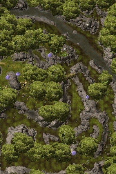 The Treasure Grove