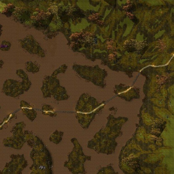 Wilderness Campsite