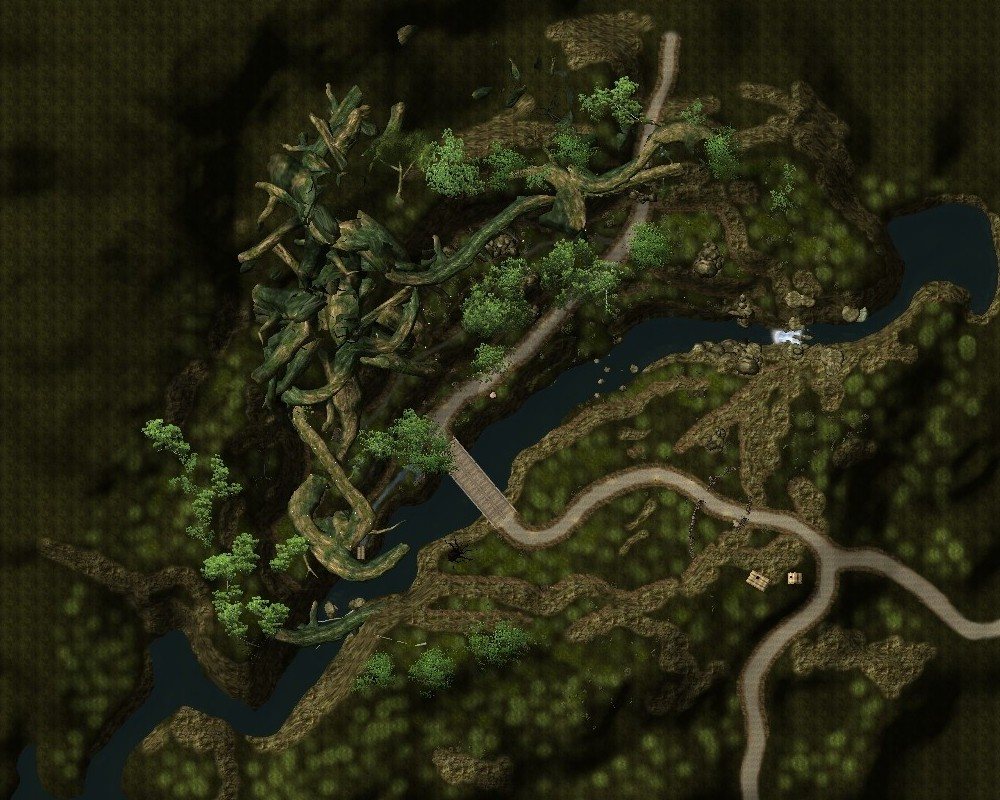 Overgrown Farmland
